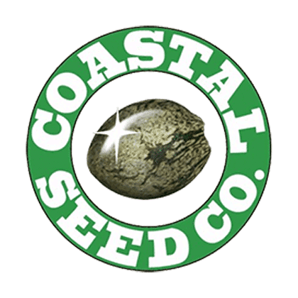Coastal Seed Co - Kaua’i Electric x Afghan #1/Colombian