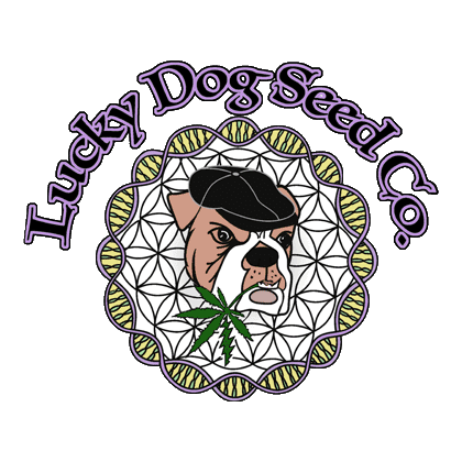 Lucky Dog Seed Co - Goji Dog